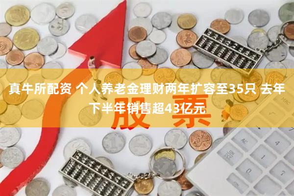 真牛所配资 个人养老金理财两年扩容至35只 去年下半年销售超43亿元