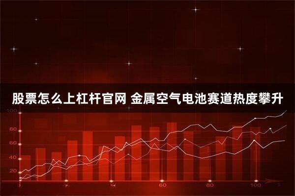 股票怎么上杠杆官网 金属空气电池赛道热度攀升