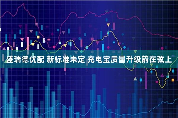 盛瑞德优配 新标准未定 充电宝质量升级箭在弦上