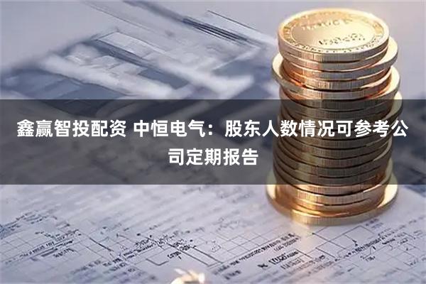 鑫赢智投配资 中恒电气：股东人数情况可参考公司定期报告