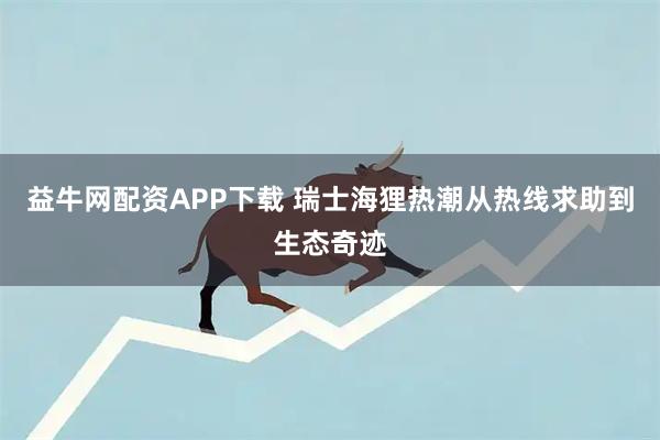 益牛网配资APP下载 瑞士海狸热潮从热线求助到生态奇迹