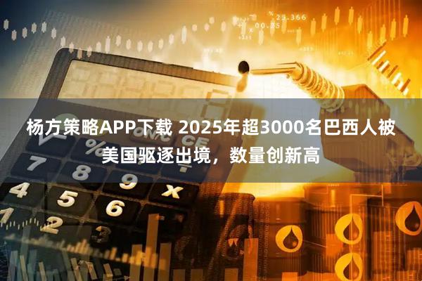 杨方策略APP下载 2025年超3000名巴西人被美国驱逐出境,数量创新高