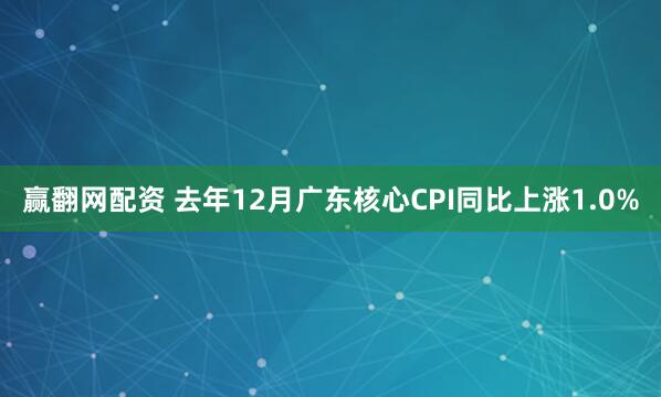 赢翻网配资 去年12月广东核心CPI同比上涨1.0%